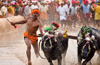 Kambala with restrictions allowed by Karnataka HC